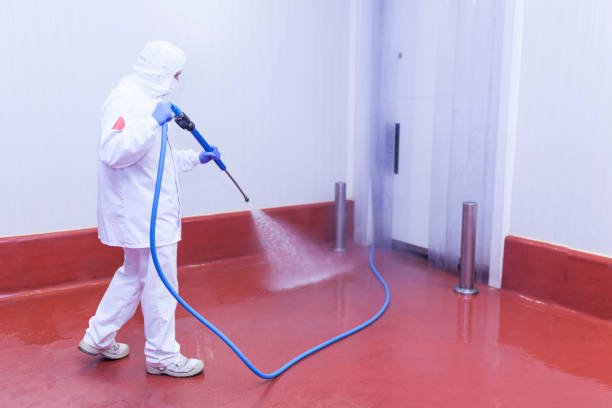 Best Commercial Pressure Washing in Brooklet, GA